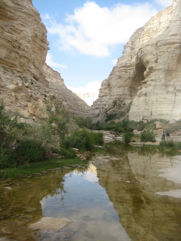 Ein Ovdat, Negev Desert